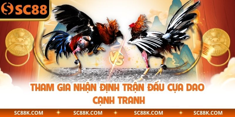 Tham gia nhận định trận đấu cựa dao cạnh tranh